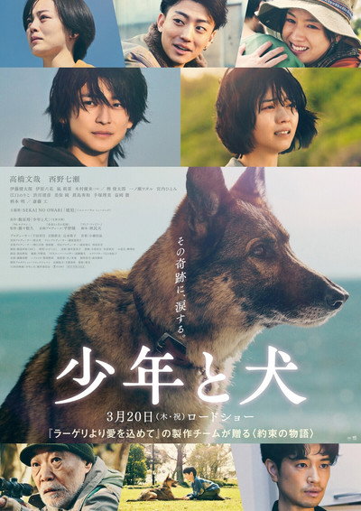 Póster de The Boy and the Dog