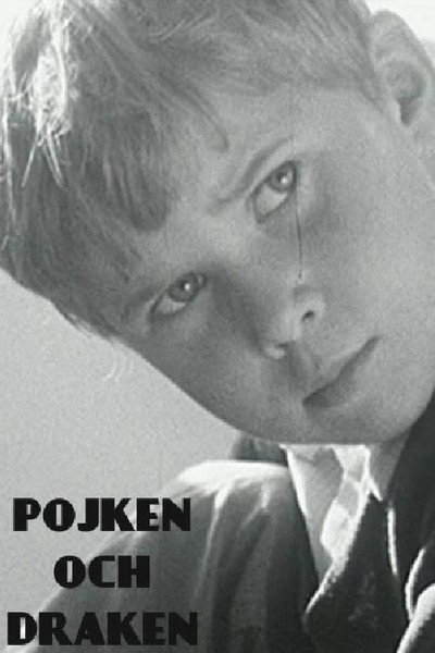 Póster de The Boy and the Kite