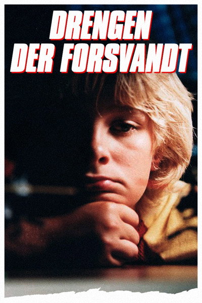 Póster de The Boy Who Disappeared