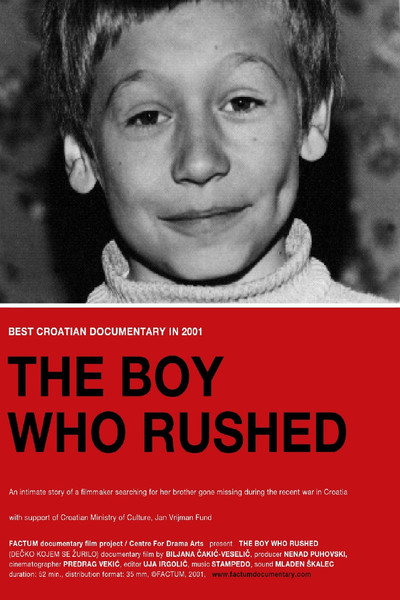 Póster de The Boy Who Rushed
