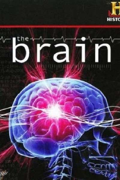 Póster de The Brain