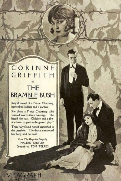 Póster de The Bramble Bush