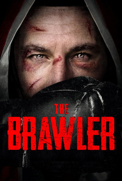 Póster de The Brawler