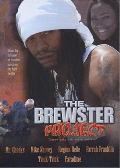Póster de The Brewster Project