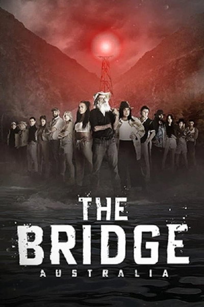 Póster de The Bridge
