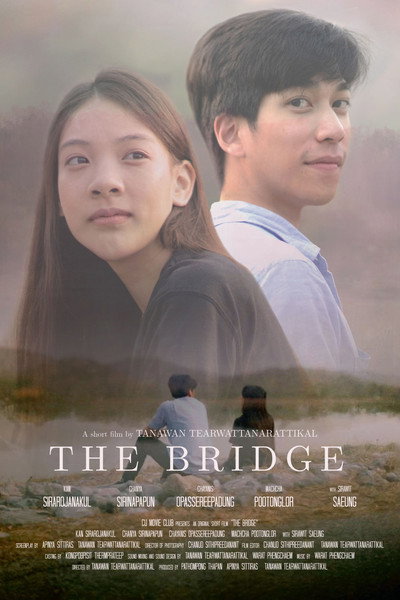 Póster de The Bridge