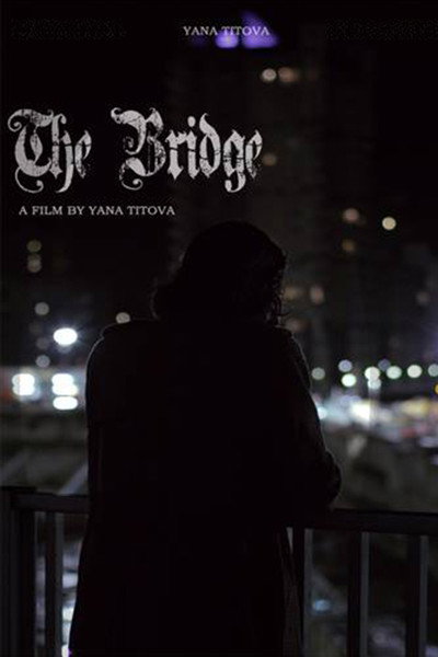 Póster de The Bridge