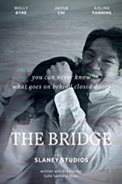 Póster de The Bridge