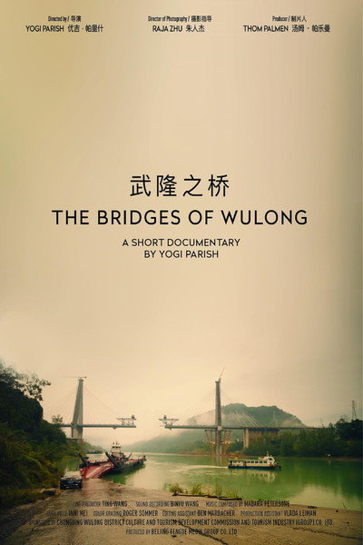 Póster de The Bridges of Wulong