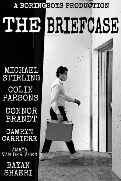 Póster de The Briefcase