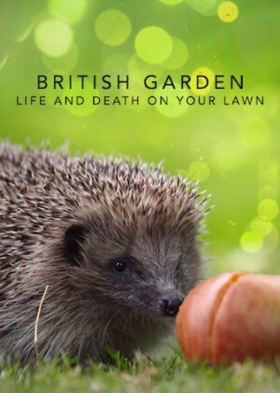 Póster de The British Garden: Life and Death on Your Lawn