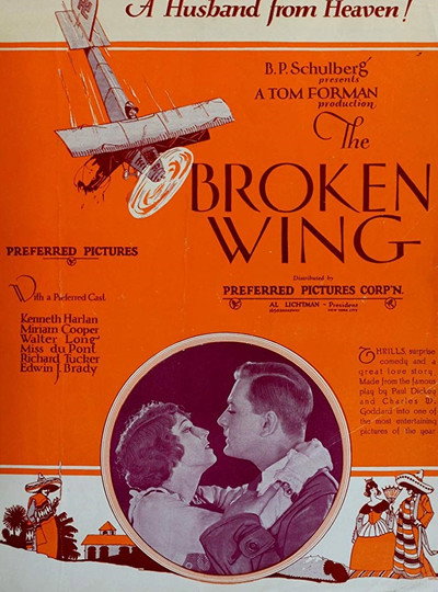 Póster de The Broken Wing