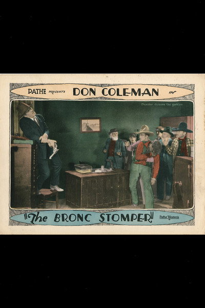 Póster de The Bronc Stomper