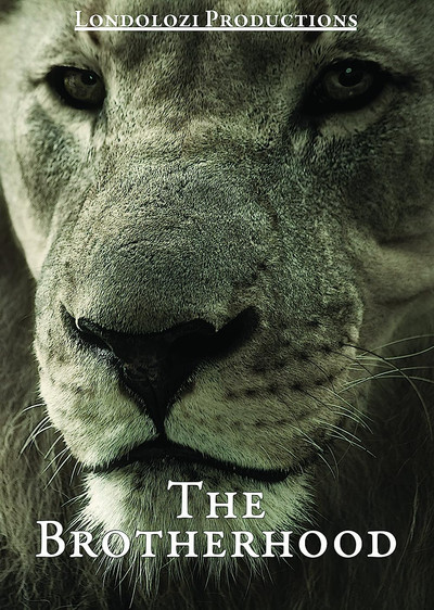 Póster de The Brotherhood