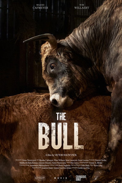 Póster de The Bull