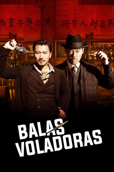 Póster de The Bullet Vanishes