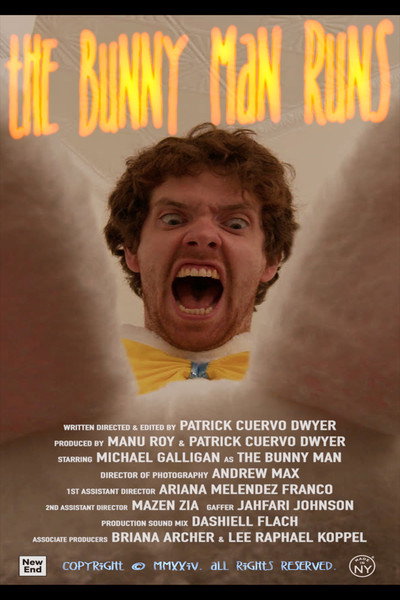 Póster de The Bunny Man Runs