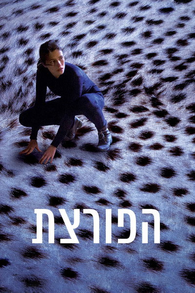 Póster de The Burglar