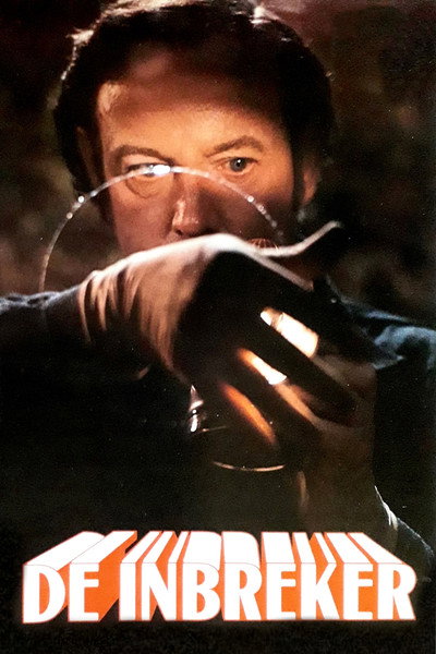 Póster de The Burglar