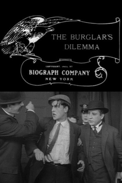 Póster de The Burglar's Dilemma