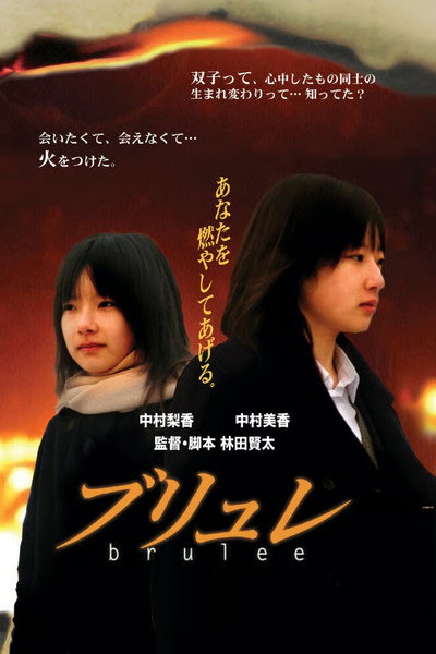 Póster de The Burning