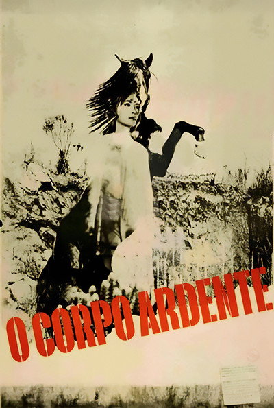 Póster de The Burning Body