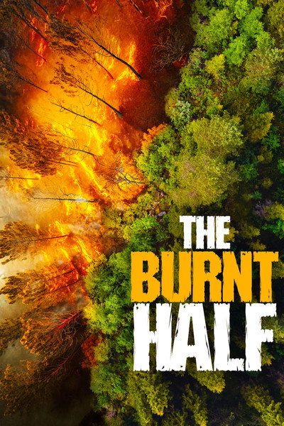 Póster de The Burnt Half
