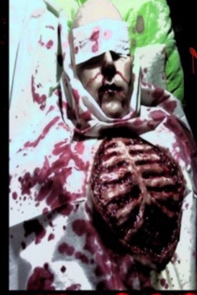 Póster de The Butcher Surgeon