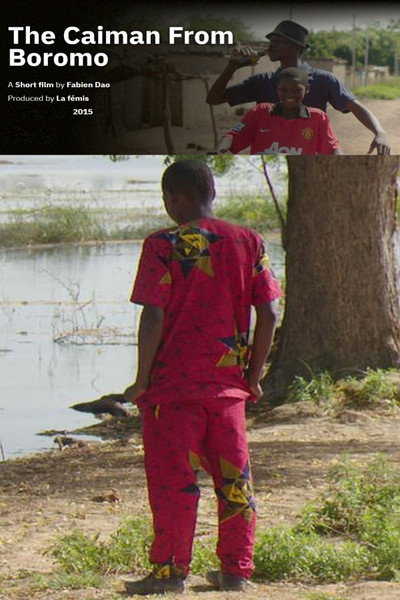 Póster de The Caiman from Boromo