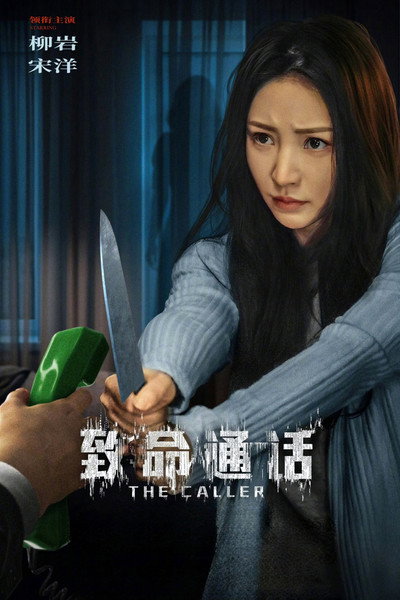 Póster de The Caller