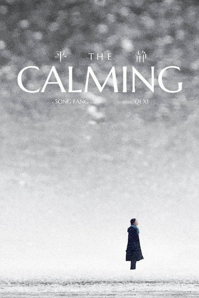 Póster de The Calming
