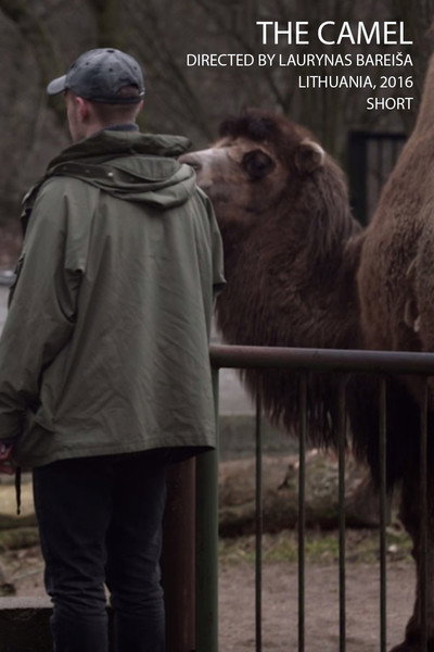 Póster de The Camel
