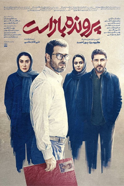 Póster de The Case Is Open