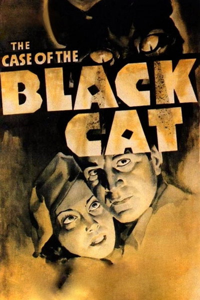 Póster de The Case of the Black Cat