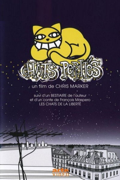 Póster de The Case of the Grinning Cat