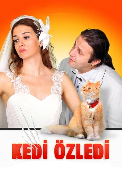 Póster de The Cat Misses