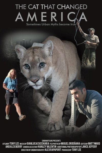 Póster de The Cat That Changed America