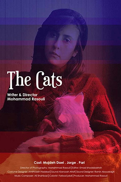 Póster de The Cats