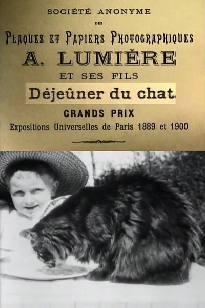 Póster de The cat's lunch