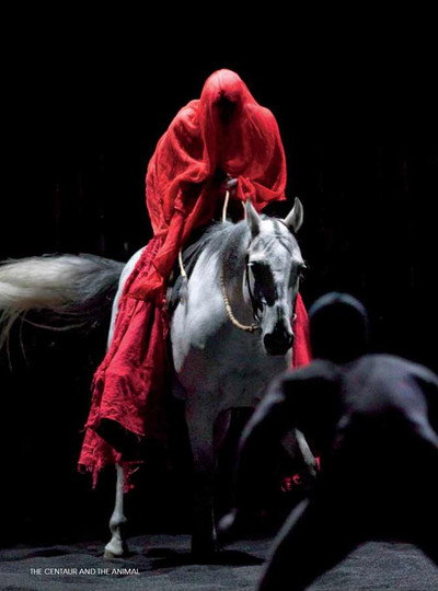 Póster de The Centaur and the Animal