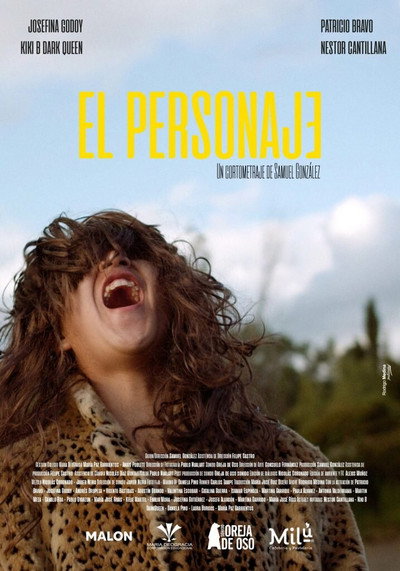 Póster de The Character