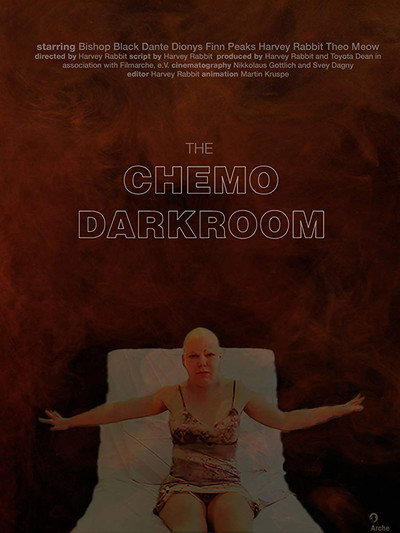 Póster de The Chemo Darkroom