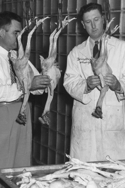 Póster de The Chicken of Tomorrow