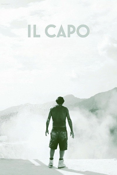 Póster de The Chief