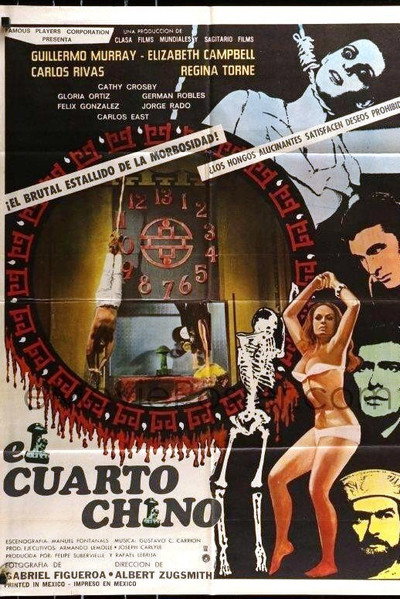 Póster de The Chinese Room