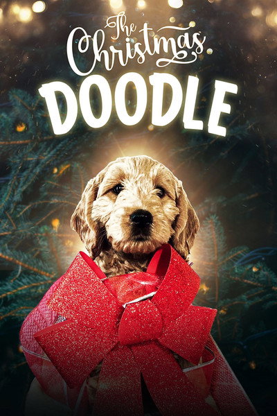 Póster de The Christmas Doodle