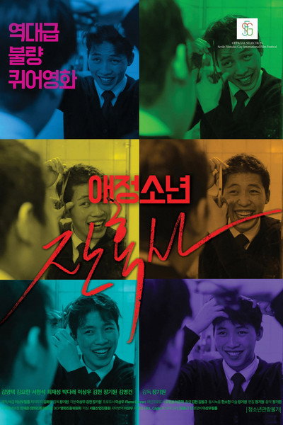 Póster de The Chronicles of a Boy: Homophobia