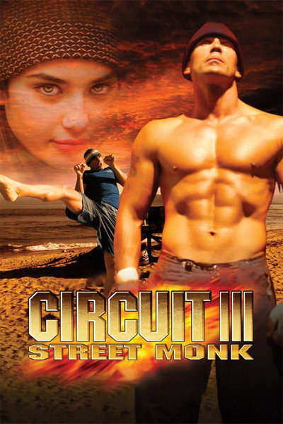 Póster de The Circuit III: Final Flight