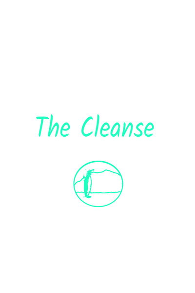 Póster de The Cleanse.
