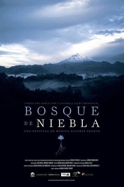 Póster de The Cloud Forest